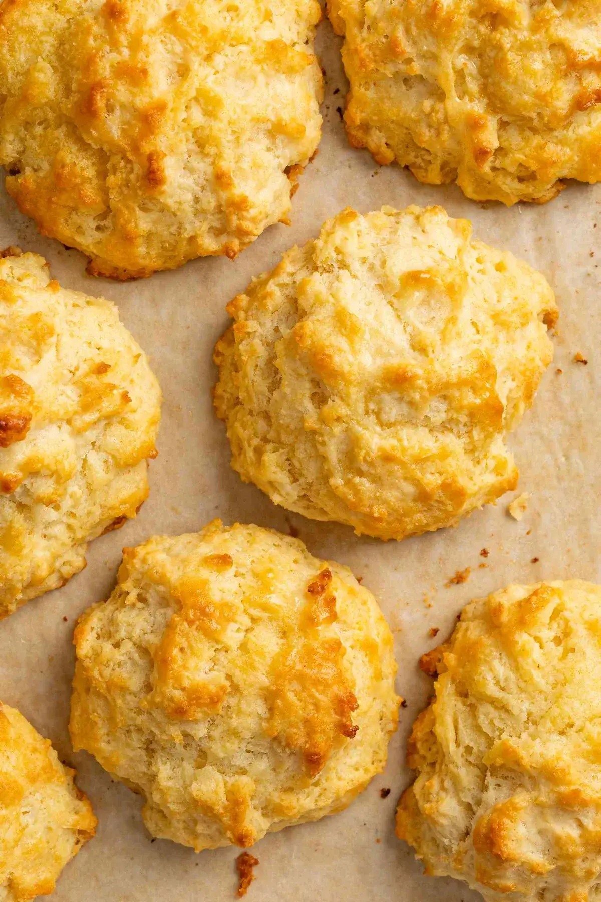 Cook's Illustrated's Best Drop Biscuits
