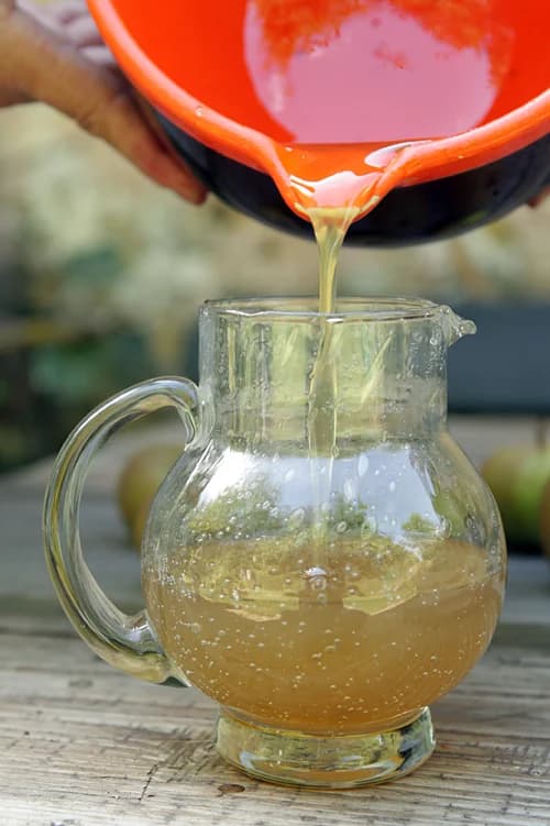 Juana Maria Bargo aka fresh ginger syrup
