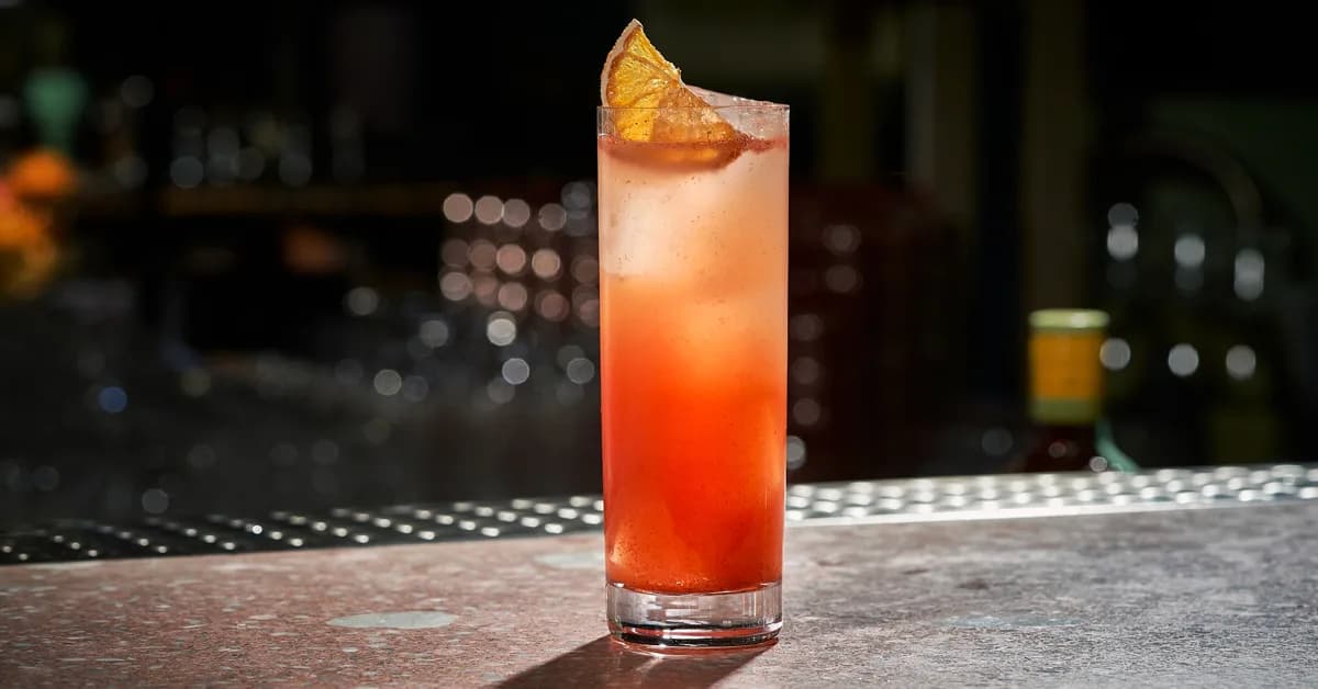 Korean Paloma