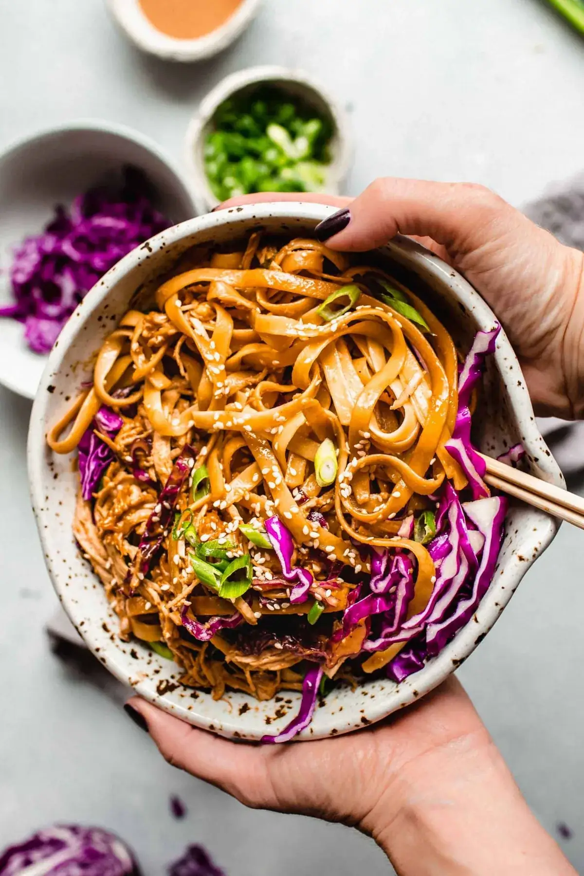 Peanut Noodles with Chicken (20 Minute Recipe!!)