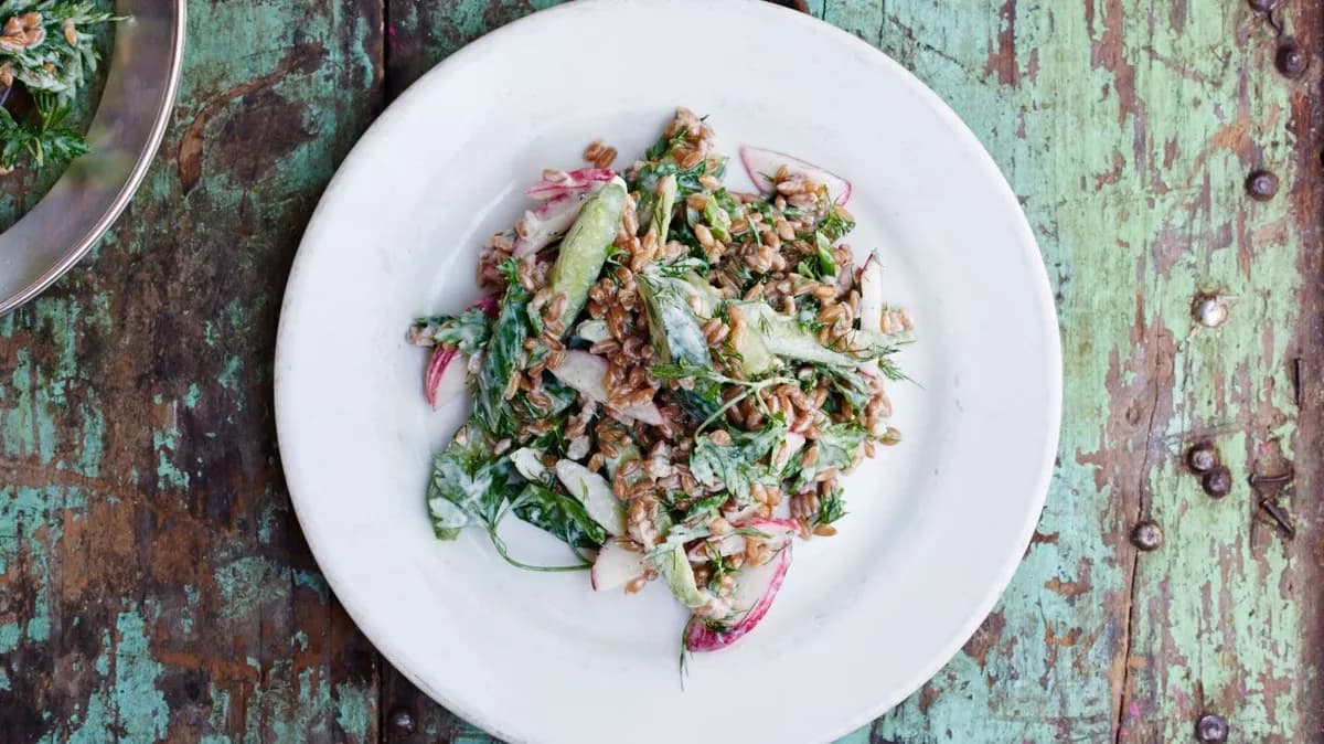 Rye Berry Salad with Cider-Yogurt Dressing and Herbs