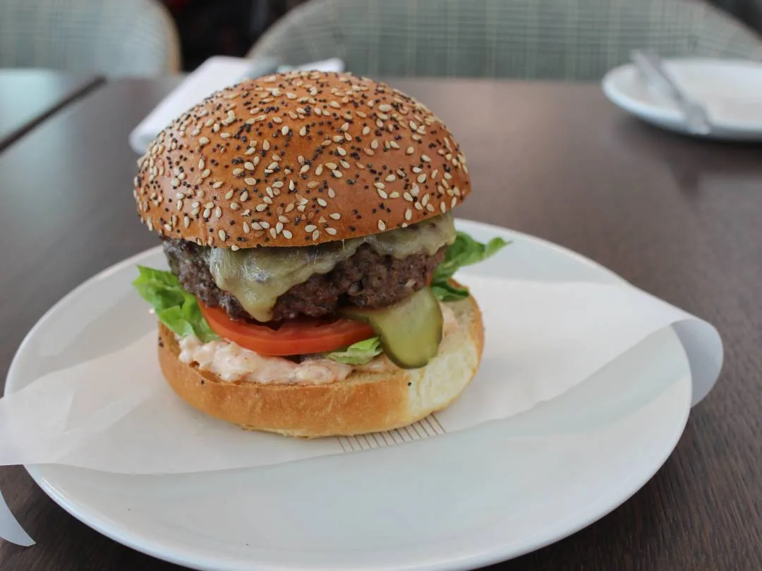 Short Rib Beef Burger with Chimichurri Mayonnaise