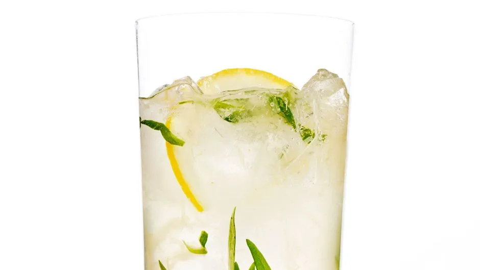 Sparkling Tarragon Gin Lemonade